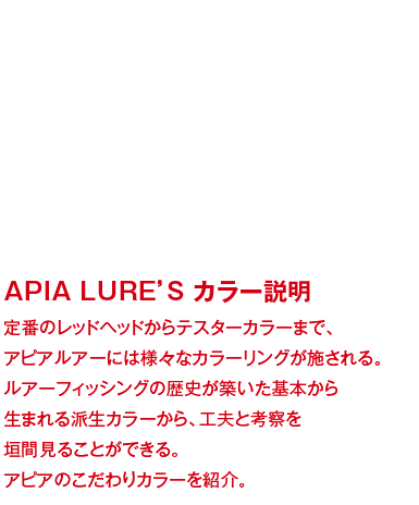 COLOR'S MICHIHIRO MATSUO