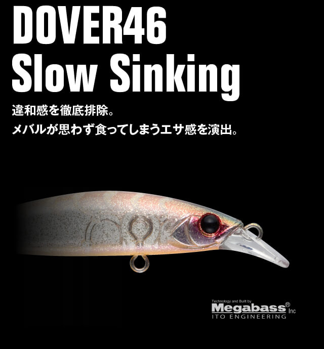 APIA DOVER70Slow Sinking ×2個セット